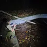 Person using a headlamp in the woods at night (illustrative photo)