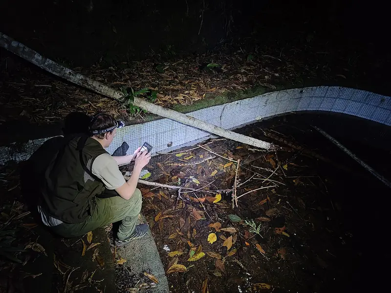 Person using a headlamp in the woods at night (illustrative photo)