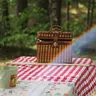 Picnic basket on a table with a checked cloth in the woods (illustrative photo)