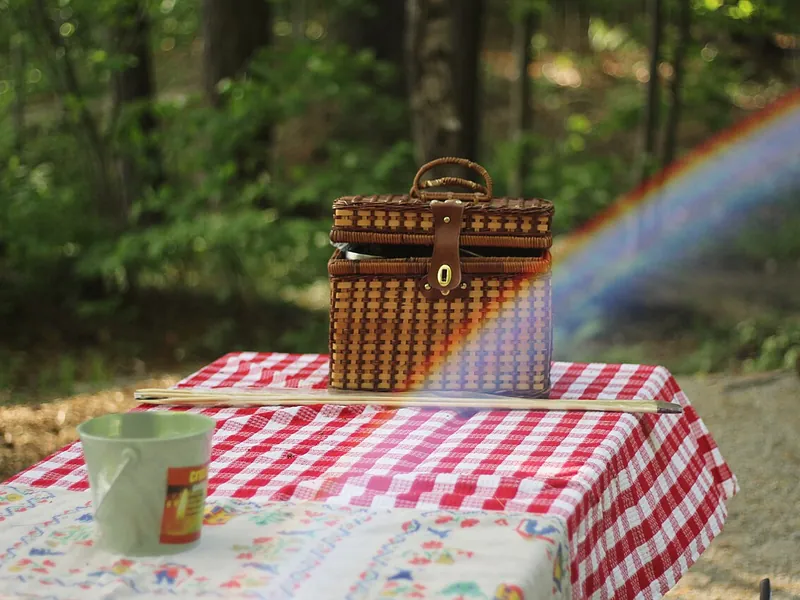 Picnic basket on a table with a checked cloth in the woods (illustrative photo)