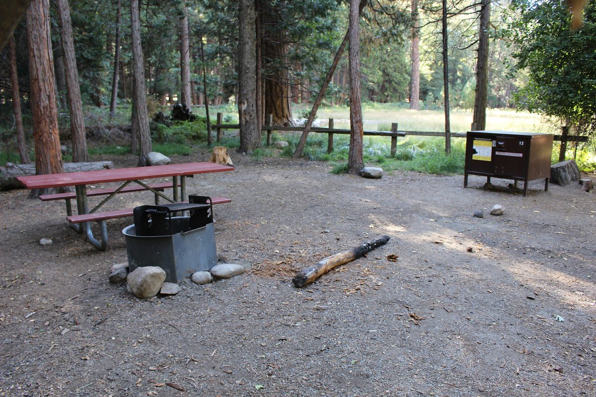 Illustrative photo of a level, open campsite with a picnic table, fire ring and metal food storage box beneath tall pines