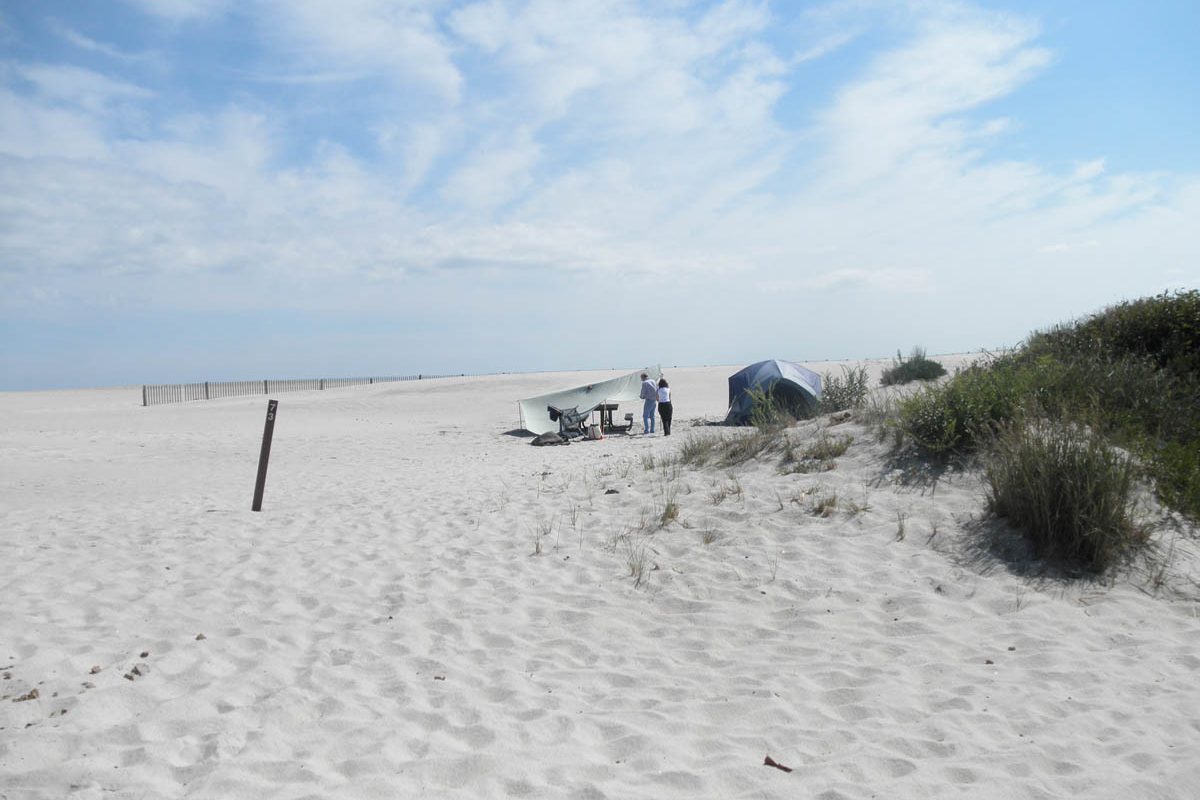 Illustrative photo of a walk-in beach campsite with a tent, picnic table and campers on white sand beside dune grass
