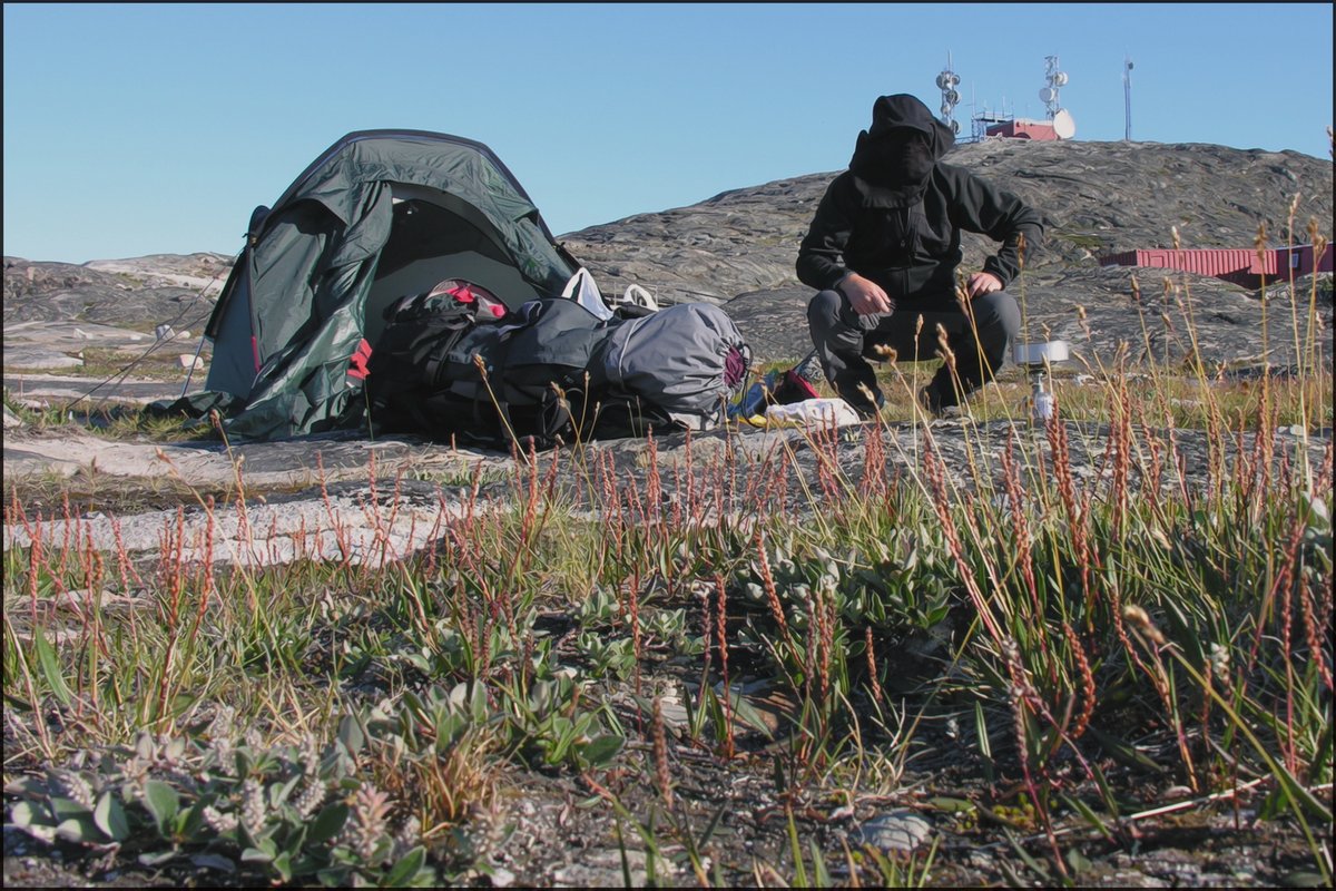 Camper sitting beside a tent on open tundra on a mosquito-heavy morning
