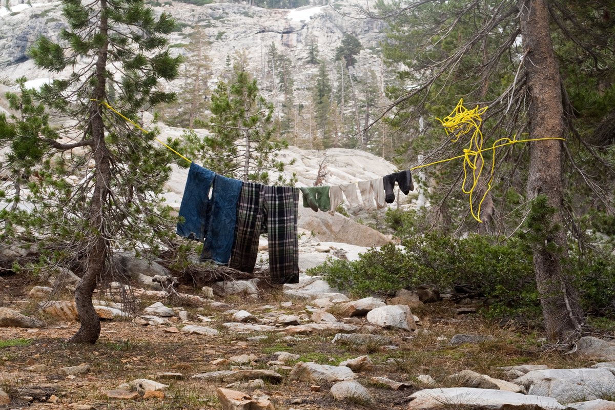 Clothes hanging on a line to dry between pine trees at a mountain campsite