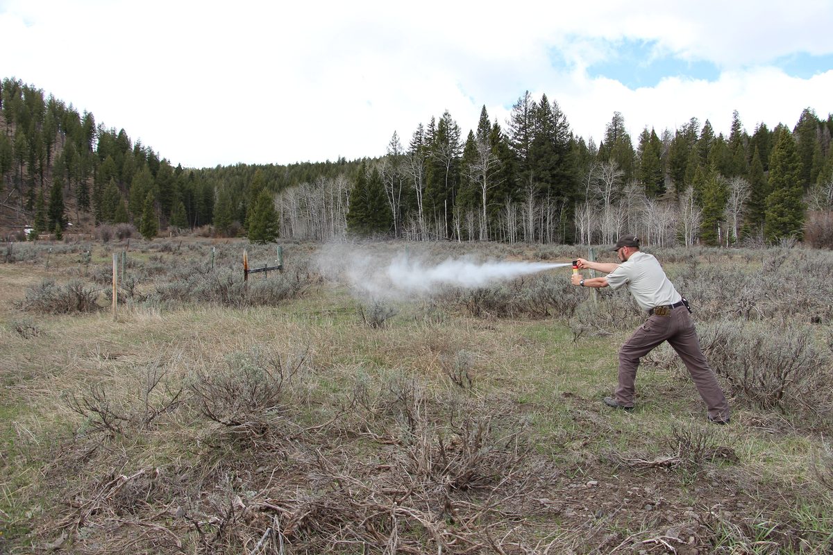 Illustrative photo of a wildlife refuge staff member demonstrating an inert training canister of bear spray in an open meadow