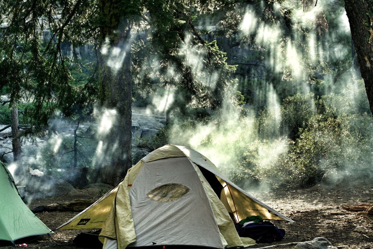 Illustrative photo of a camping tent pitched among forest trees