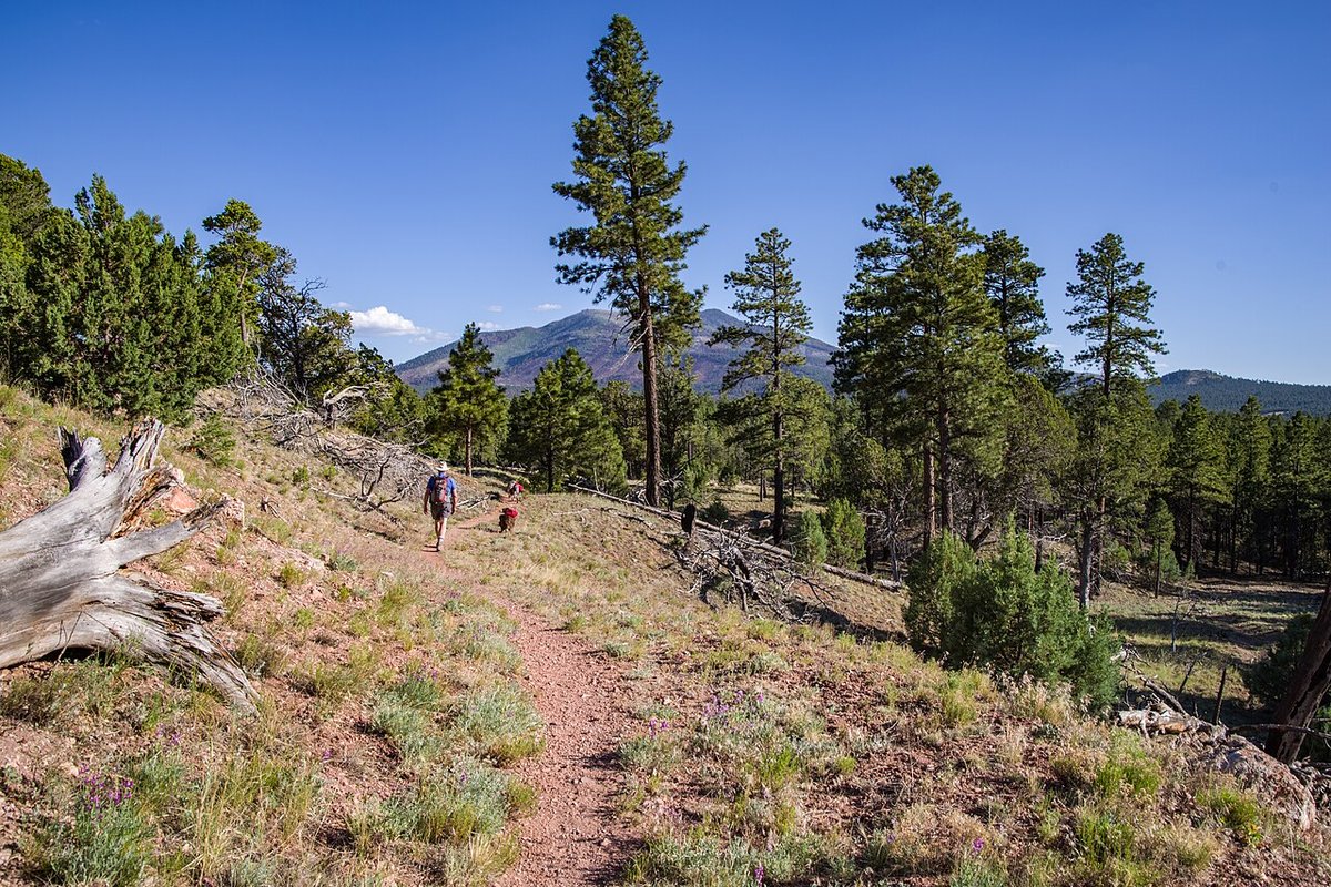 Hiker with a backpack on a rocky ridge using poles