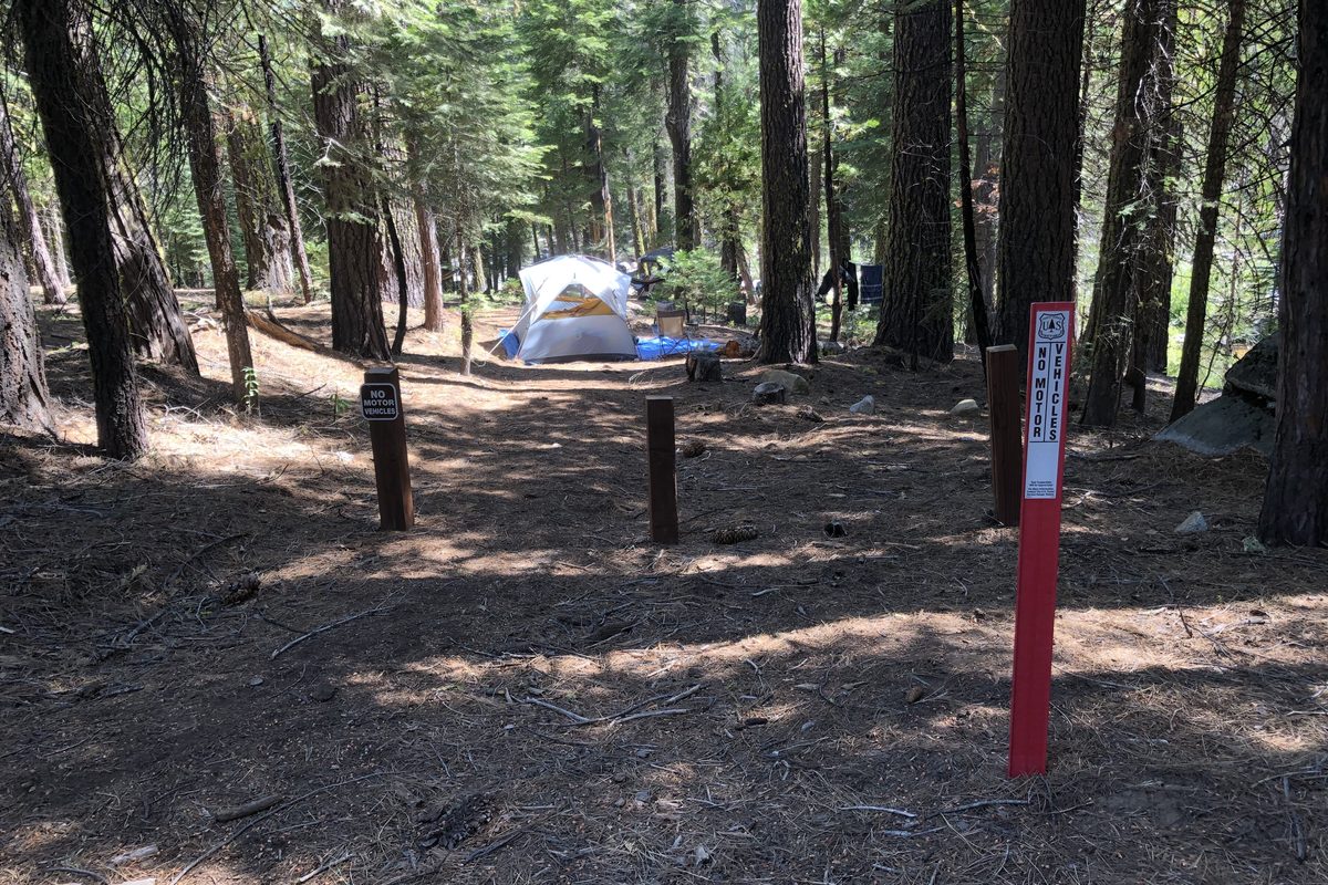 Illustrative photo of a tent at a dispersed campsite in a pine forest, with a site marker and wooden posts that keep vehicles out