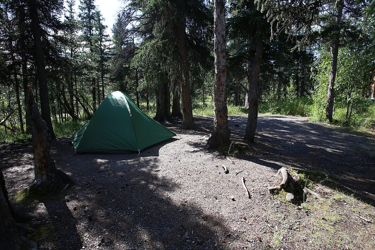 Green tent on a gravel tent pad in a spruce forest campground