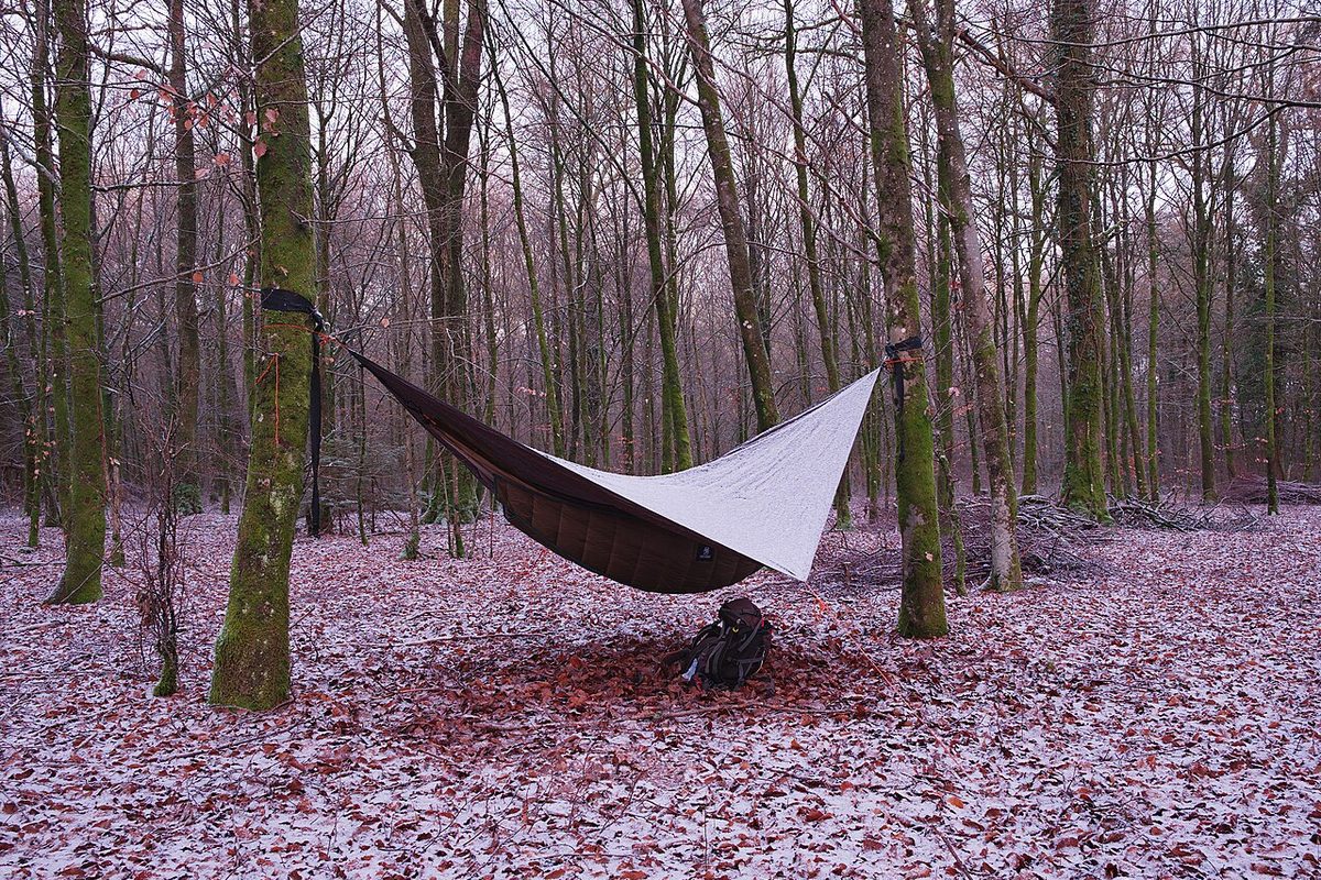 Camping hammock with a tarp hung between beech trees in a snowy forest