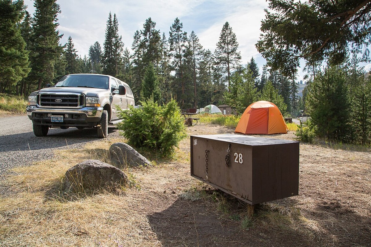 Bear-proof food storage box at a forest campground