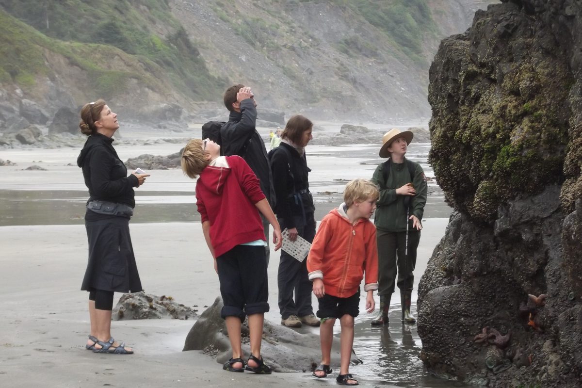 Illustrative photo of a park ranger and a family with children looking up at a sea stack beside tide pools on a misty beach