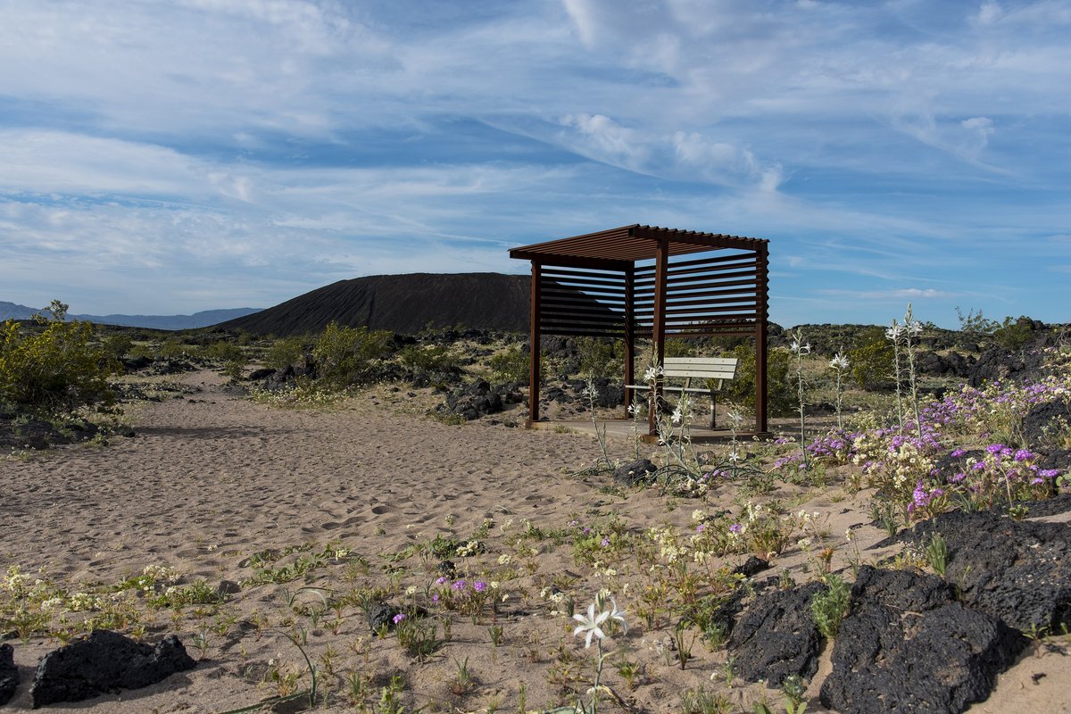 Shaded picnic shelter at a desert rest area under a blue sky