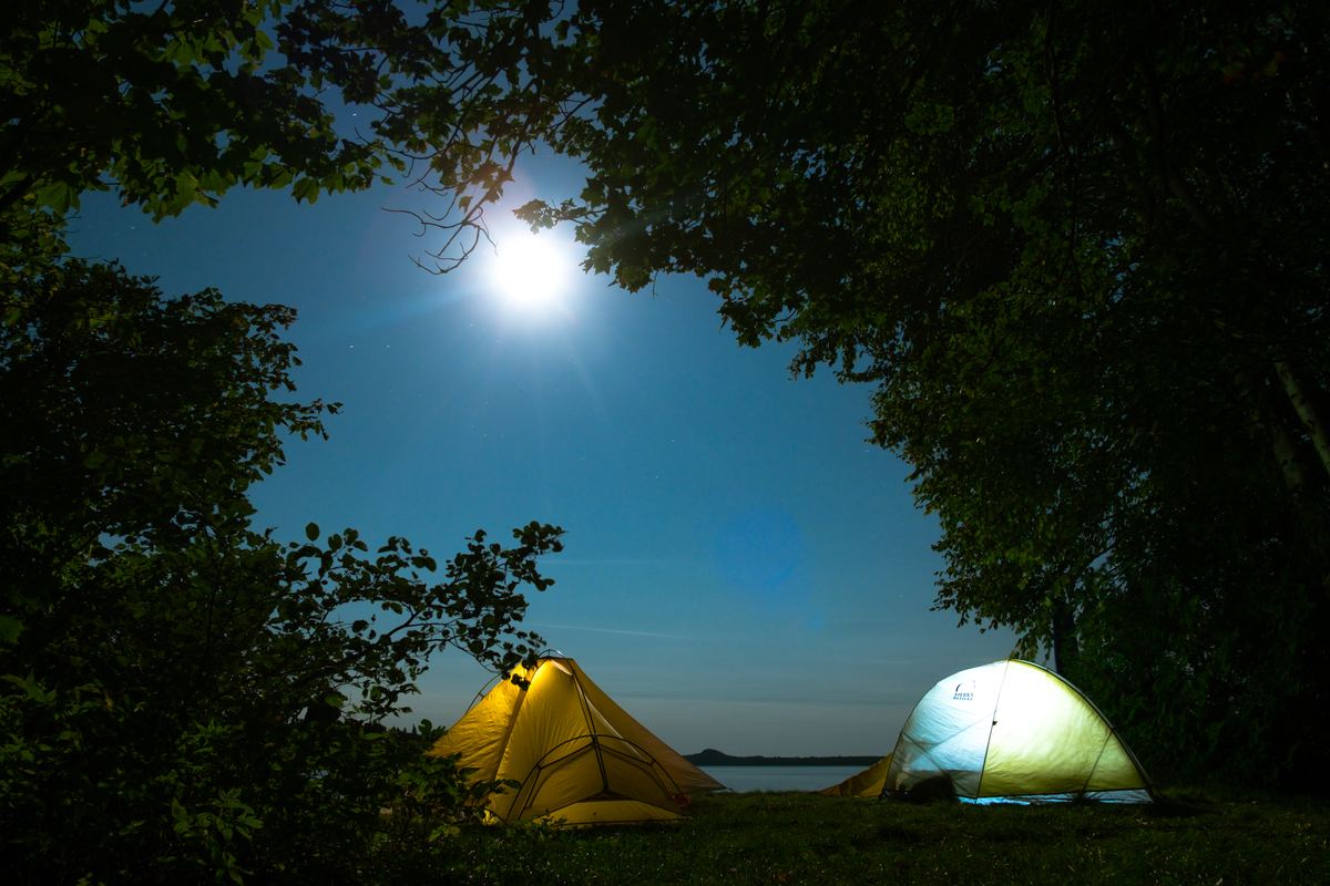 Illustrative photo of a night sky over a wilderness waterway campsite