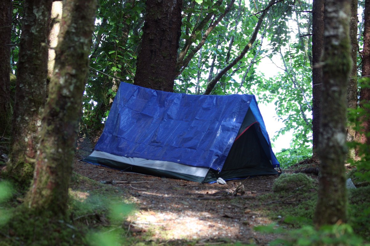 Small tent with a blue tarp draped over it in a mossy clearing