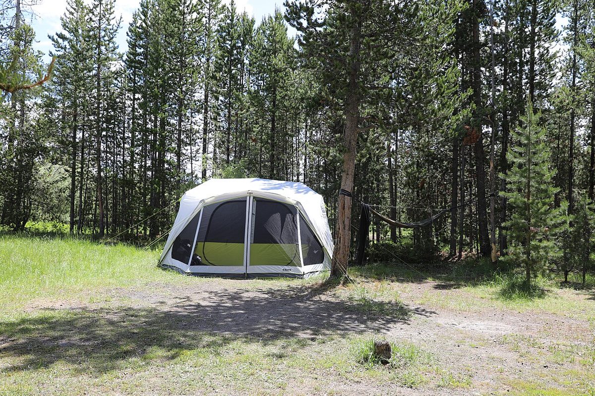 Large tent with mesh windows pitched at a forest campground