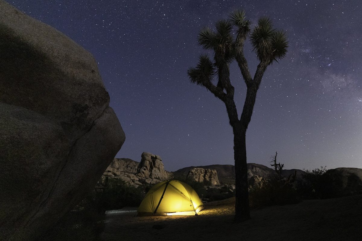 Illustrative photo of a softly lit tent beside a large boulder and a Joshua tree under a starry night sky